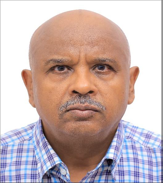 Faisal Mohamed Fadlelmola Mohamed